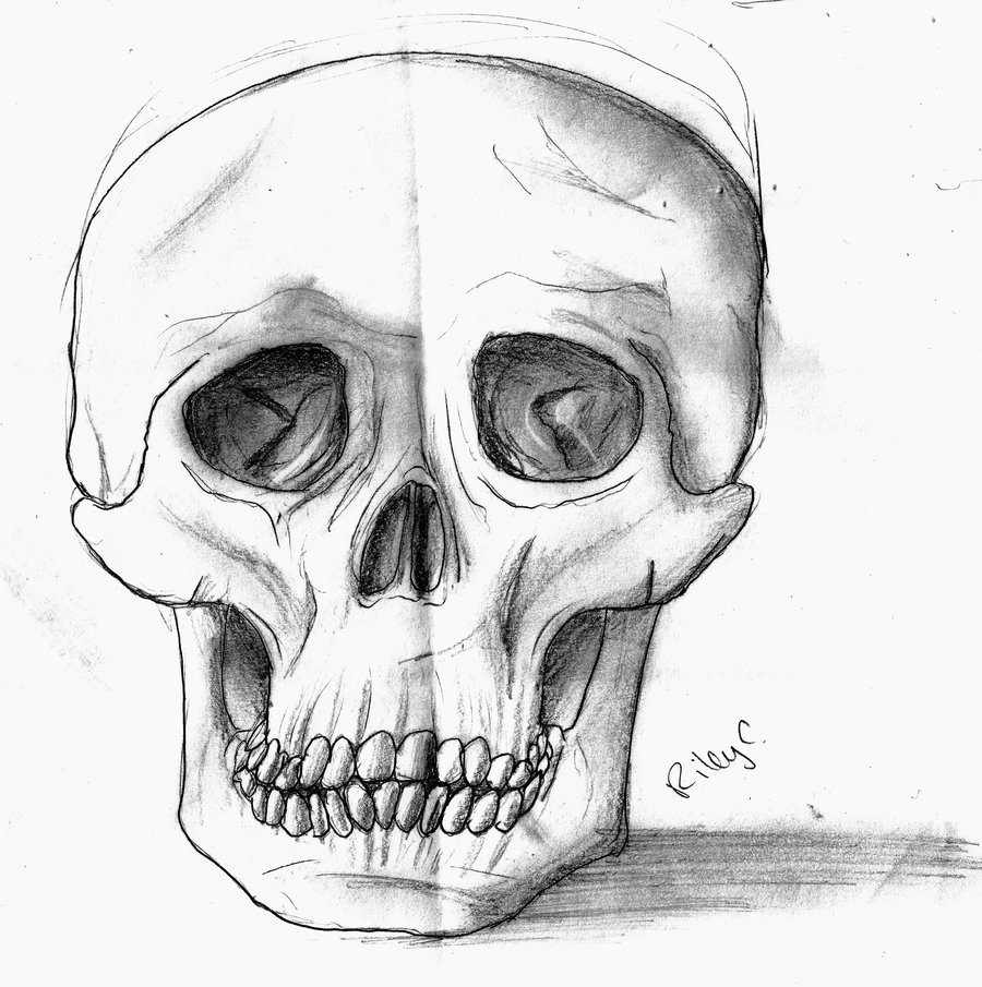 900x905 Skull