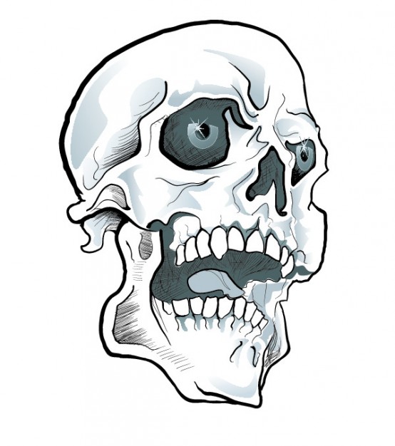 554x626 Skull With Eyes And Tongue Vector Free Download