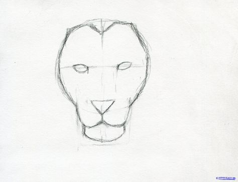 474x363 How To Sketch A Lion Step 6 Drawings Lions