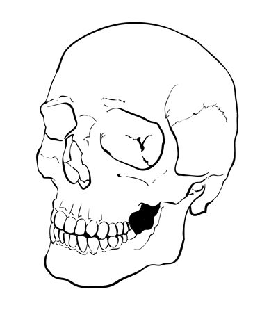 400x459 Drawing Pictures Skull Line Drawing Pictures