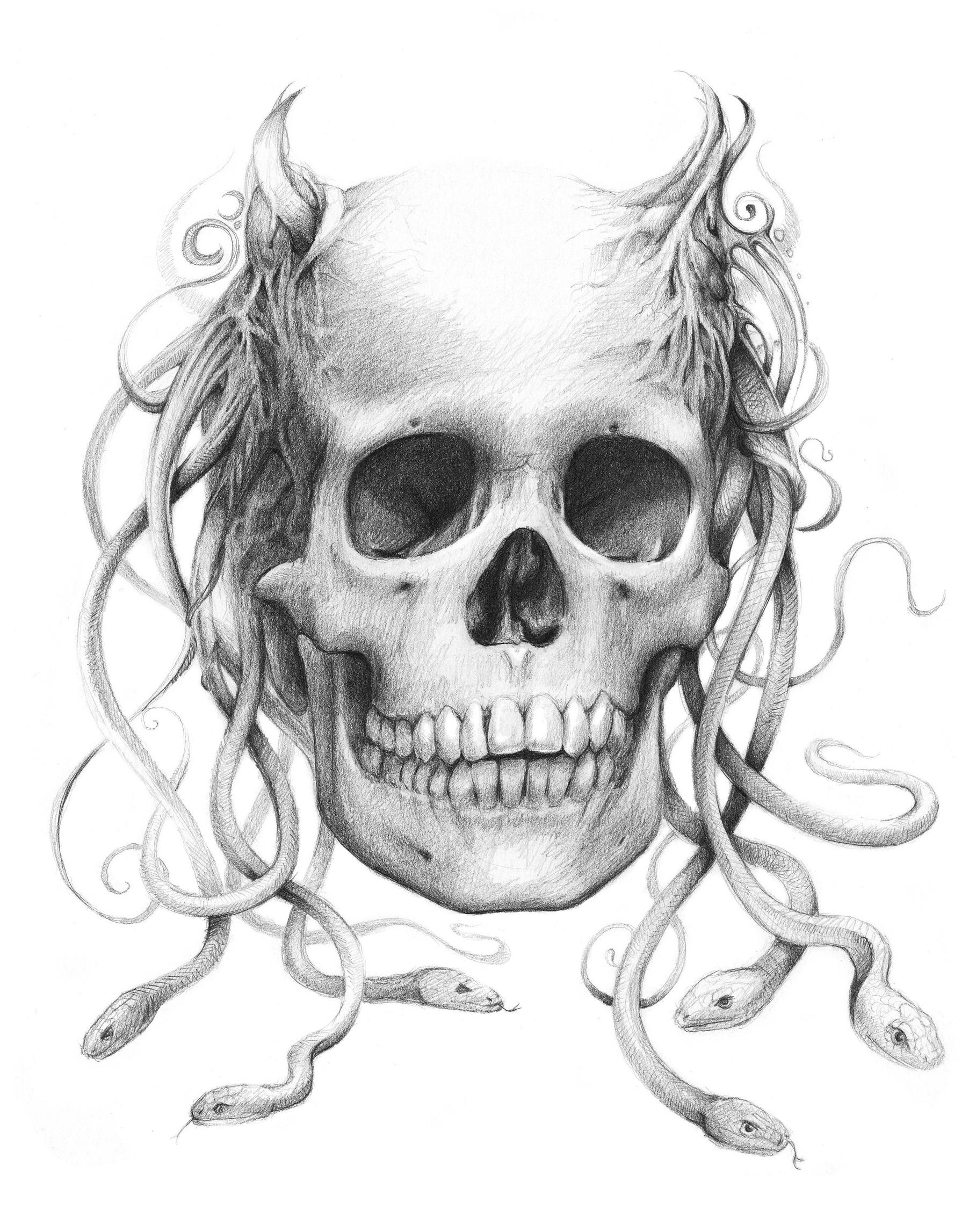 1817x2294 Medusa Skull Sketch