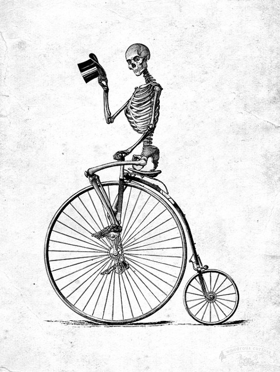 554x735 Tag Archive For Drawing Skullspiration