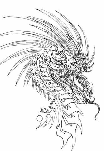 332x480 Half Sleeve Dragon Tattoo Drawing Ideas