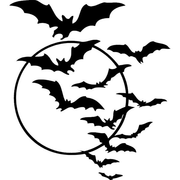 Halloween Bats Drawing