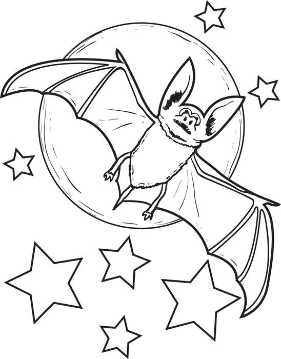 548x700 Coloring Page Of A Bat