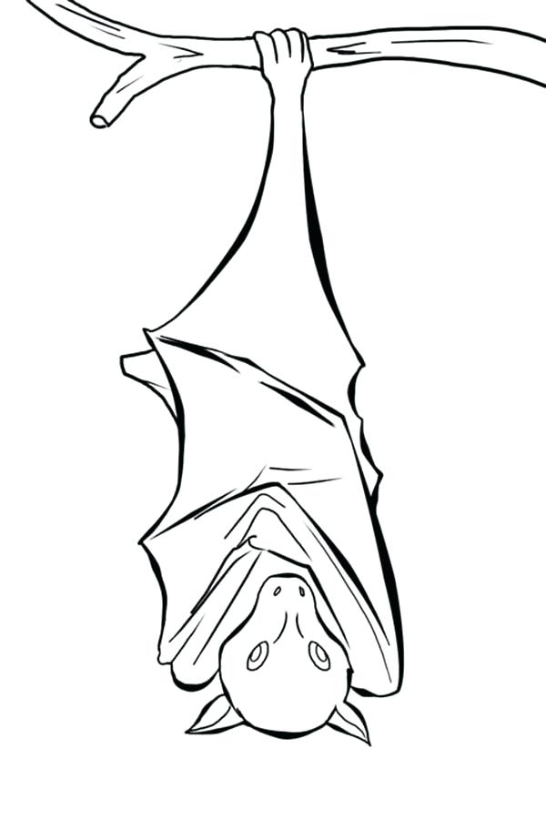 600x900 Bat Color Pages Bats Sleeping Coloring Page Free Printable