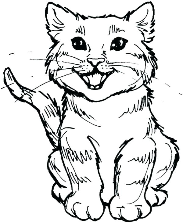 600x731 Halloween Cats Coloring Pages Cat Coloring Pages Cute Kitty Cat
