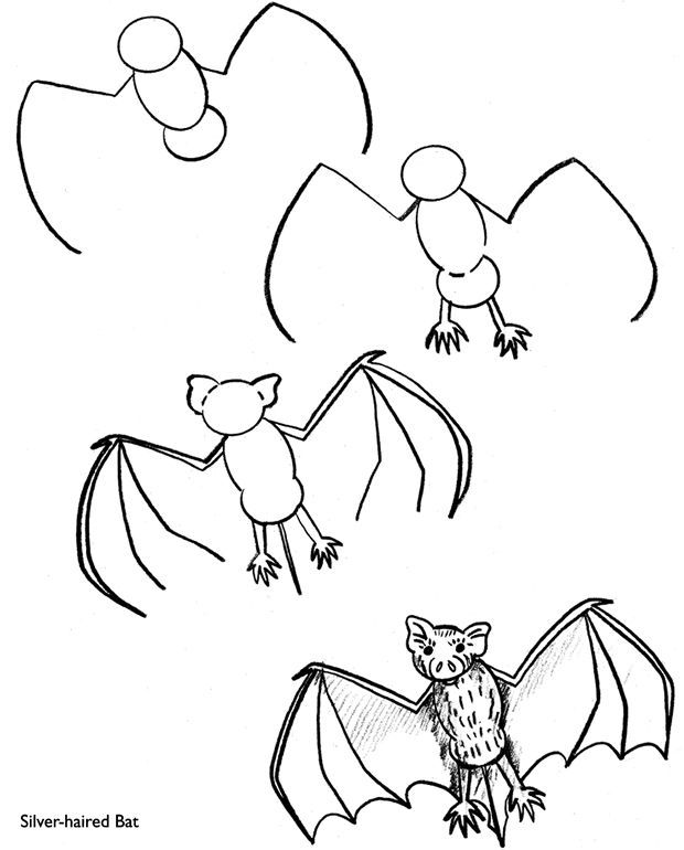 Halloween Drawing Ideas