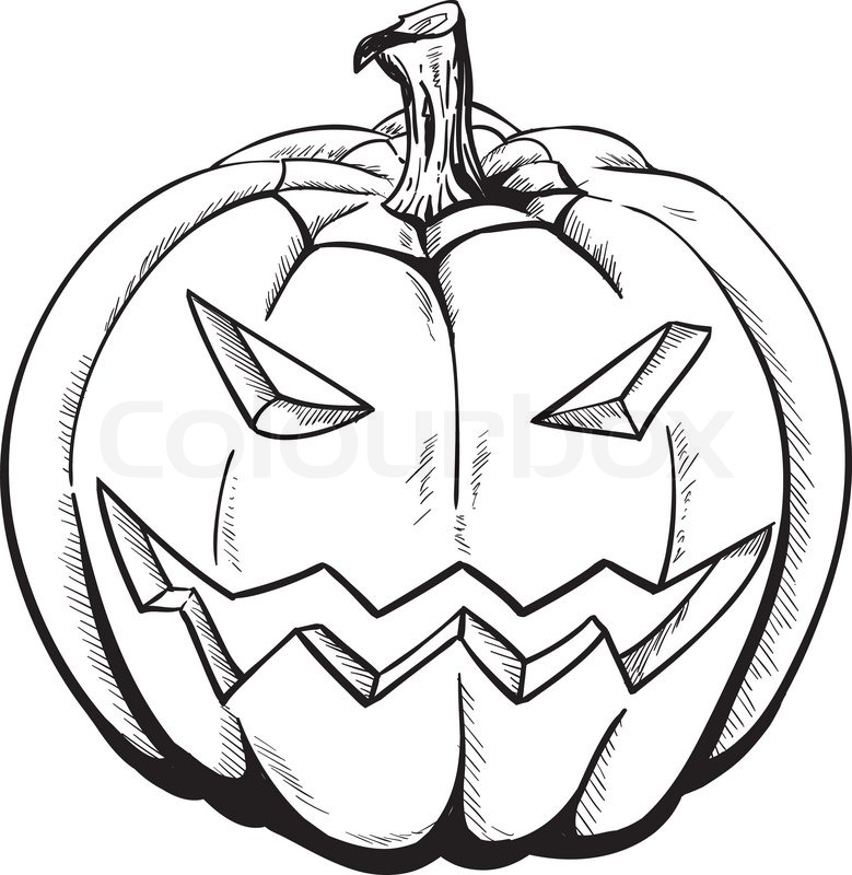 779x800 Sketch Pumpkin Stock Vector Colourbox