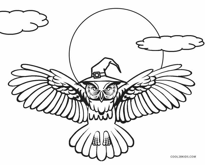 800x647 Free Printable Owl Coloring Pages For Kids Cool2bkids