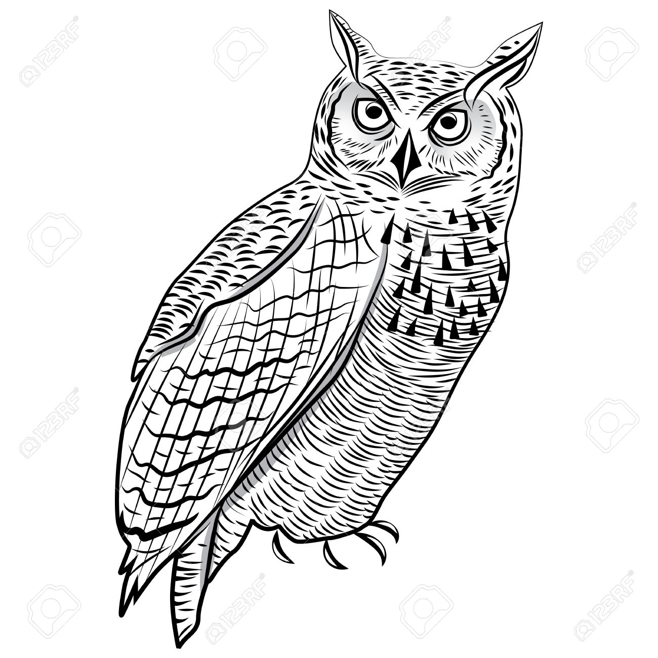 1300x1300 Owl Bird As Halloween Symbol For Mascot Or Emblem Design Vector