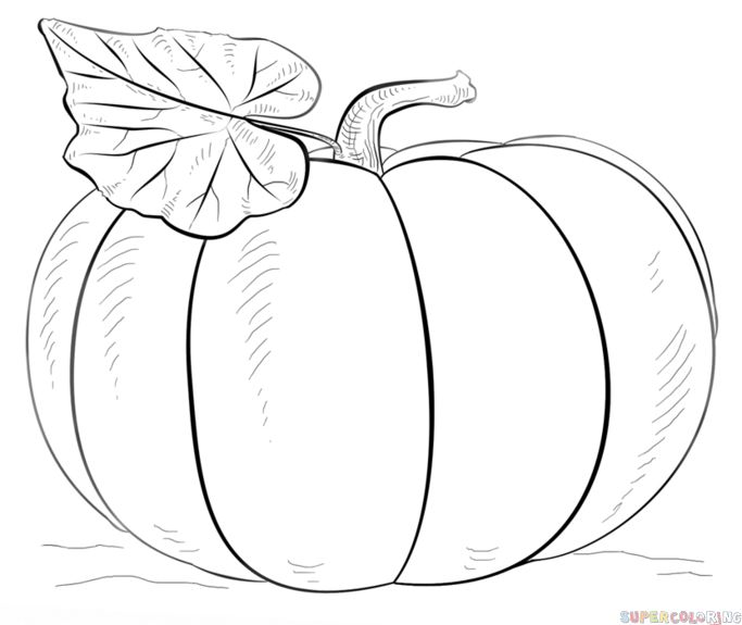 683x575 Resultado De Imagen De Halloween Pumpkin To Color Drawing