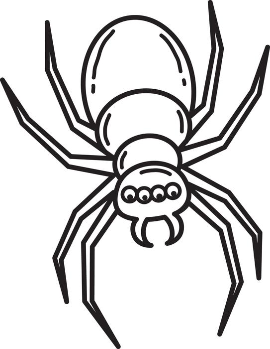 543x700 Free Printable Halloween Spider Coloring Page For Kids
