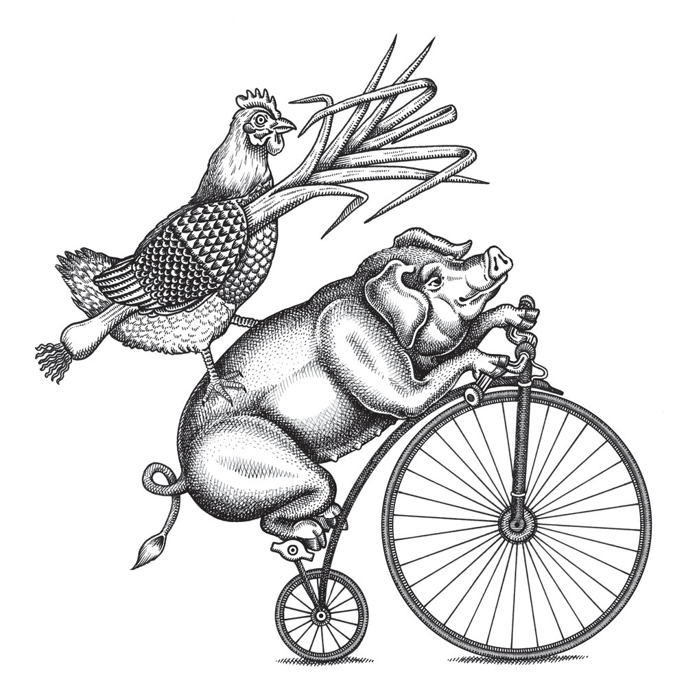 1000x1000 Chris Burge Illustration