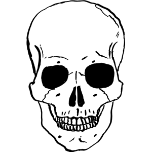300x300 Skull Clipart Png