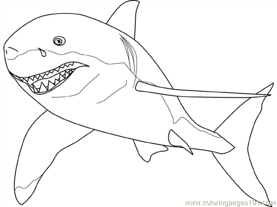 940x704 Hammerhead Shark Coloring Pages Shark Coloring Pages To Print