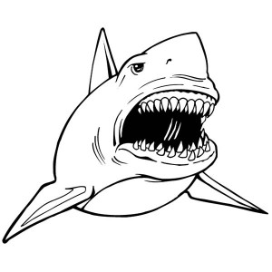 300x300 A Realistic Drawing Of Hammerhead Shark Coloring Page Kids Play