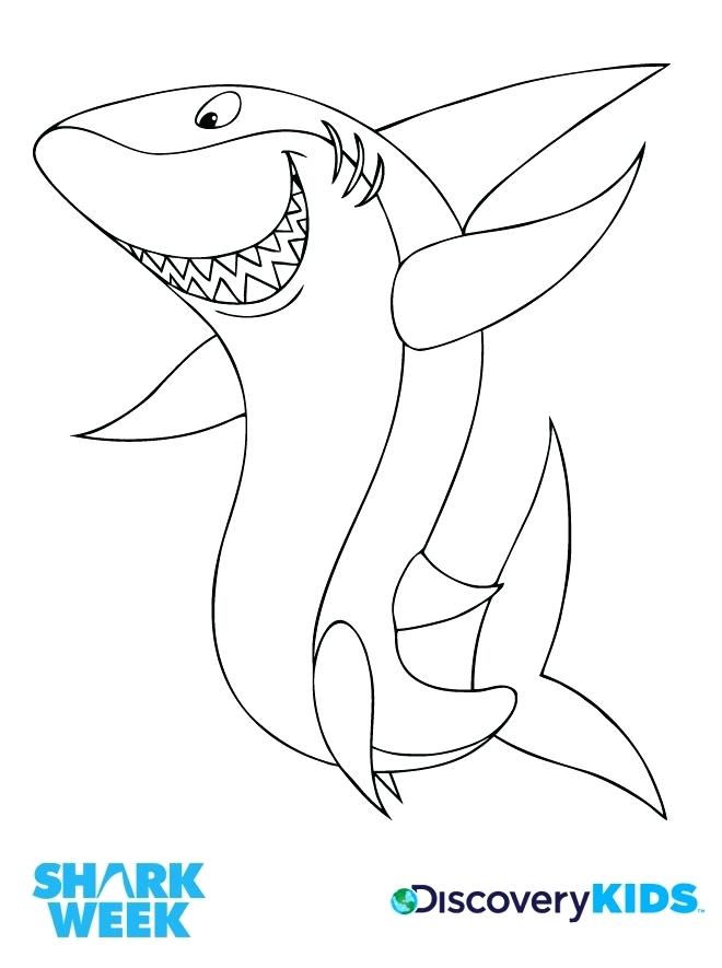 660x885 Shark Coloring Page Free Good Hammerhead On Seasonal Colouring