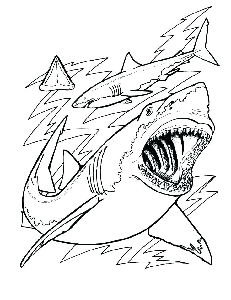 736x957 Shark Coloring Pages Printable Shark Coloring Book In Addition