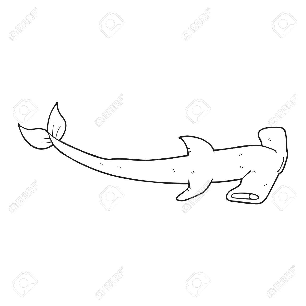 1300x1300 Freehand Drawn Black And White Cartoon Hammerhead Shark Royalty