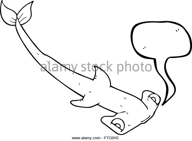 640x472 Hammerhead Black And White Stock Photos Amp Images