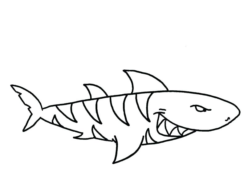 The best free Hammerhead drawing images. Download from 257 free