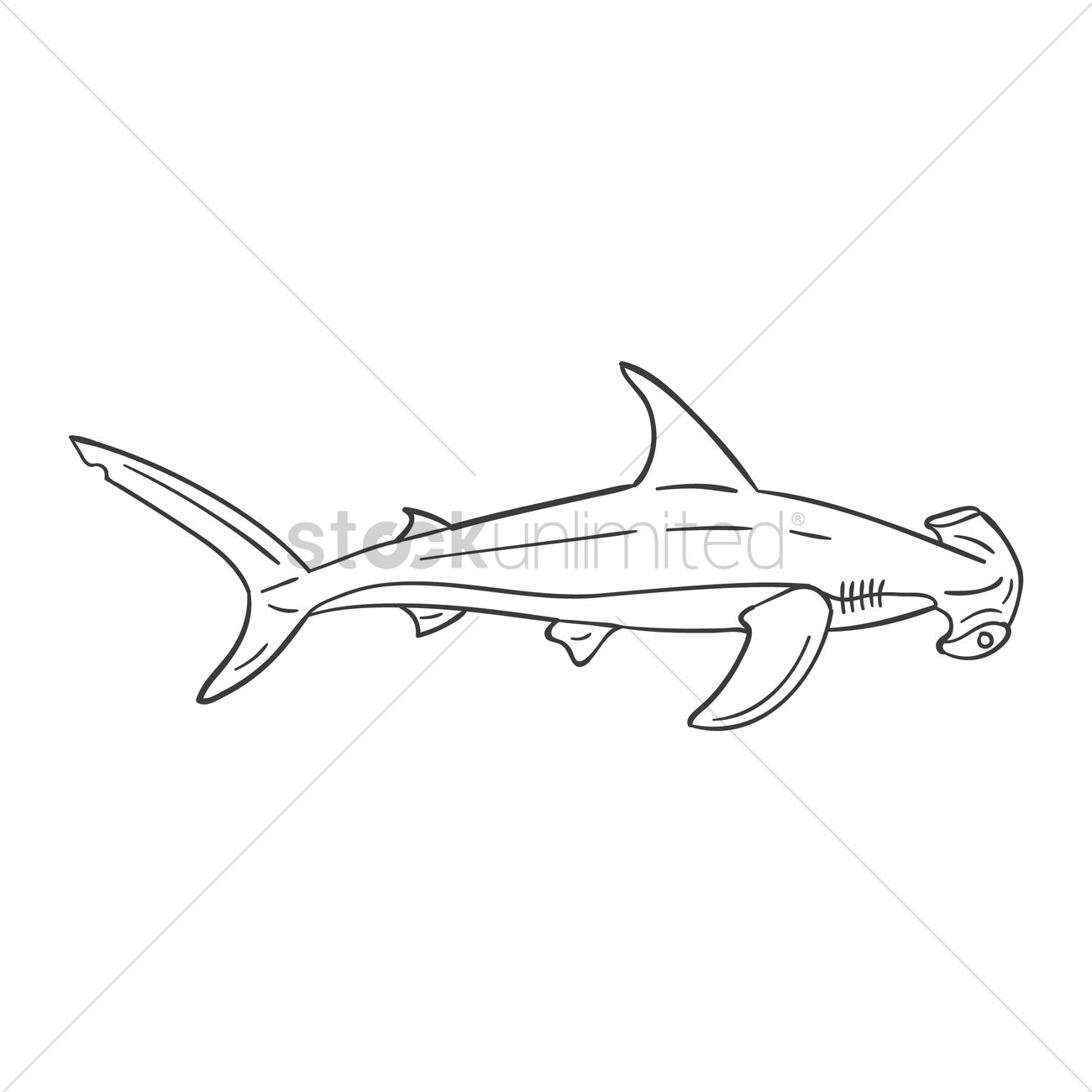 1300x1300 Hammerhead Shark Vector Image
