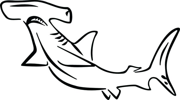 719x398 Shark Coloring Coloring Pages Of Sharks Good Hammerhead Shark