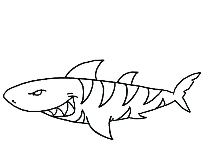736x557 Coloring Sheet Sharks