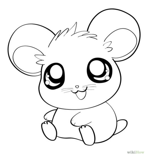 517x550 Draw An Anime Hamster Anime