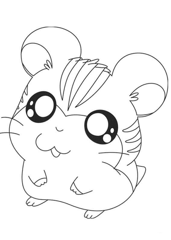 567x794 Drawn Hamster Coloring Page