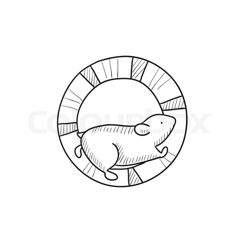 800x800 Hamster Running In The Wheel Vector Sketch Icon Isolated