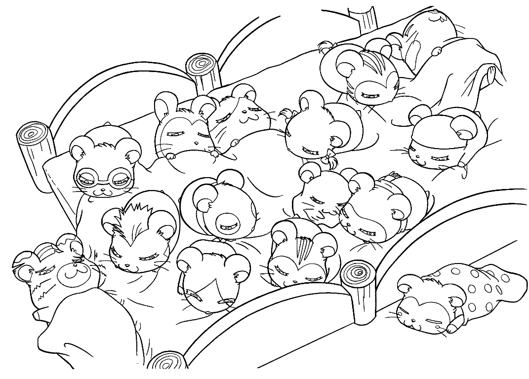 1071x768 Hamster Coloring Page