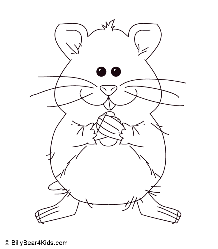 700x800 Hamster Coloring Page Free Download