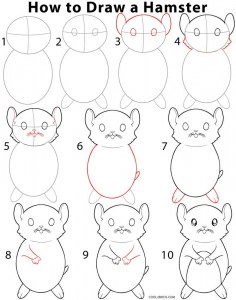 236x300 How To Draw A Hamster Step By Step Instructions For Drawing