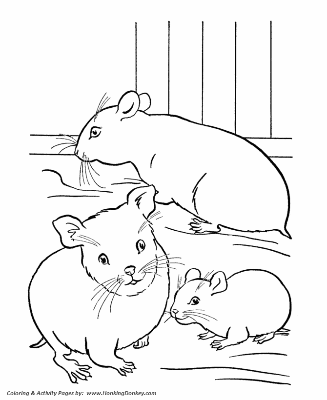 670x820 Pets Coloring Pages Free Printable Hamster Coloring Pages