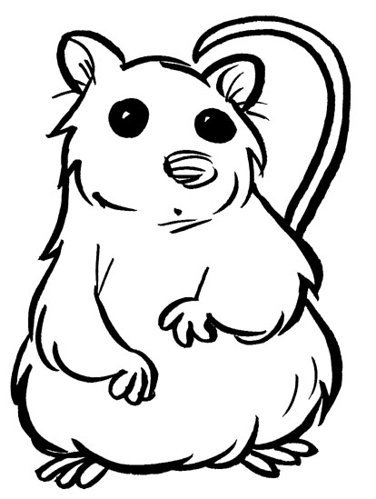 414x549 Three Men In A Tub Hamsters