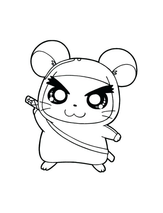 550x717 Cute Hamster Coloring Pictures Pages Printable Drawn Page Best
