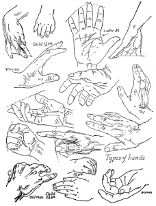 228x300 Drawing Hands In Different Positions Learn How To Draw