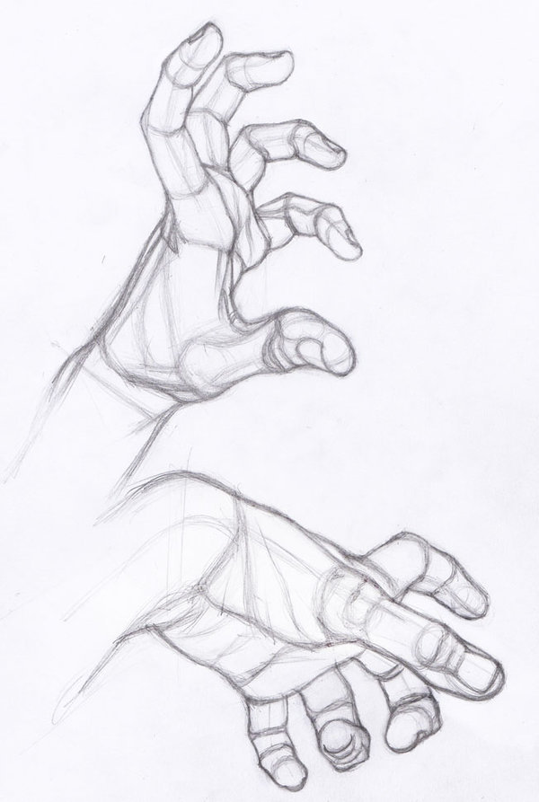 600x893 Drawing Illustration Hands Art Reference How To Draw Hand Studies