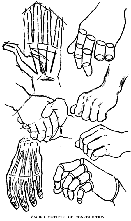 450x758 Drawing Hands How To Draw Hands And Underlying Structure