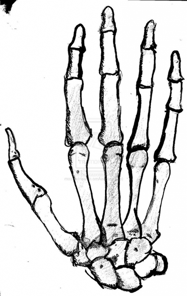 647x1024 Skeleton Hands Drawing