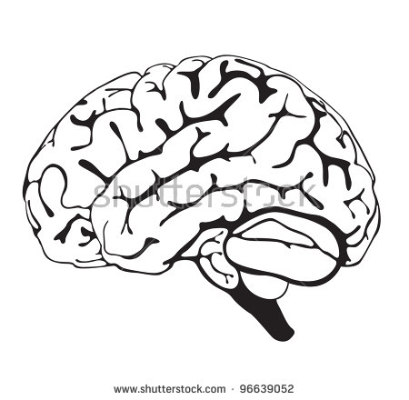 450x440 Brain Clipart Hand Drawn