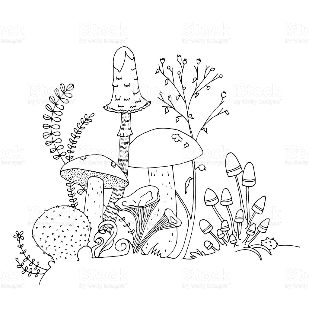 1024x1024 Drawn Mushroom Outline