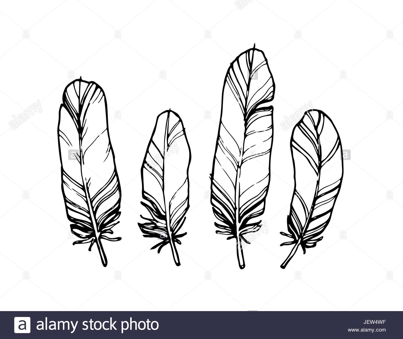 1300x1093 Hand Drawn Outline Feathers Set. Vector Design Elements On A White