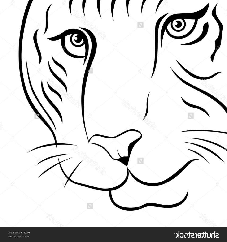960x1024 Tiger Drawing Outline Part Of Funny Tiger Face Hand Drawing Vector