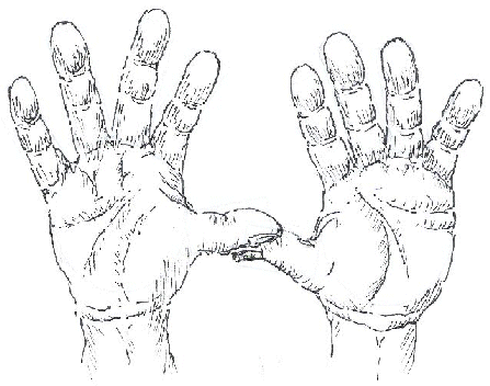 447x352 How To Draw Hands