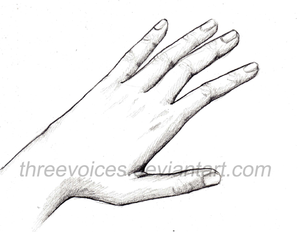 600x467 Hand Drawing 1 By Threevoices