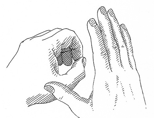 500x385 Tapita Hand Gesture Dauntless Jaunter