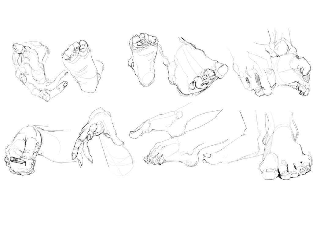 1024x748 Handsfeet Gestures By Hoeflakes